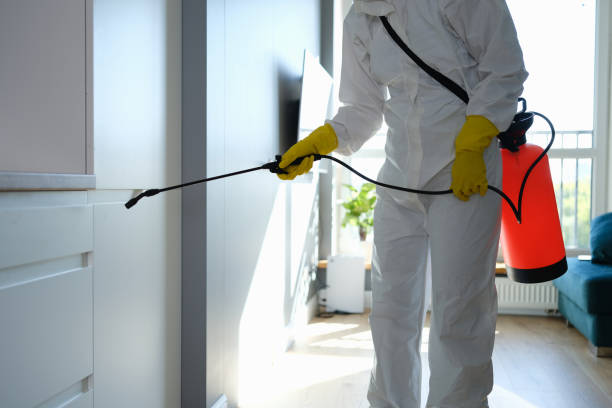 Best Toxic Mold Removal  in Wewa, OK