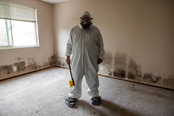 Best Office Mold Removal Services  in Wewa, OK